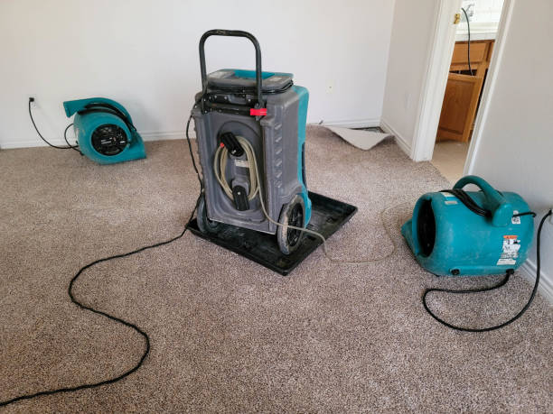 Best Sewage cleanup and water damage restoration  in Hauula, HI