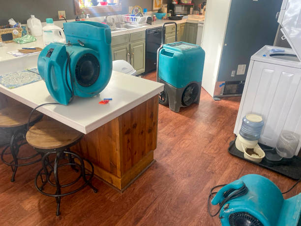 Best Fire Damage Restoration  in Hauula, HI