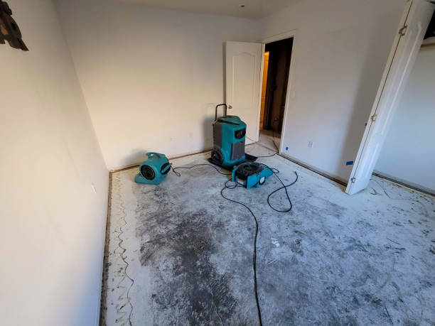 Best Flood damage cleanup  in Hauula, HI