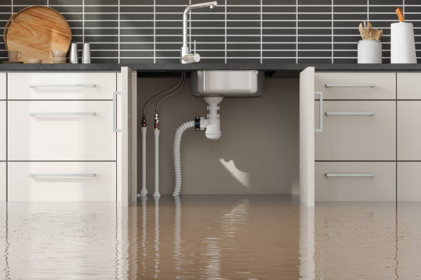 Best Carpet water damage restoration  in Hauula, HI