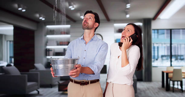 Best Water damage restoration near me  in Hauula, HI